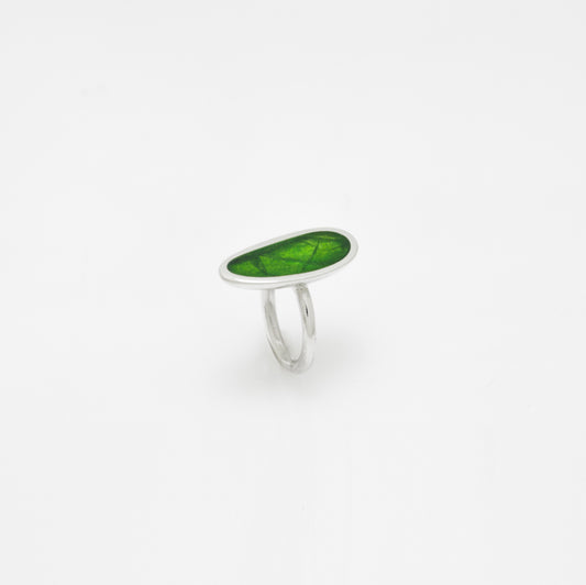 Arp in Green